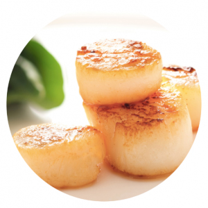 Seared Scallops with Cauliflower Purée recipe