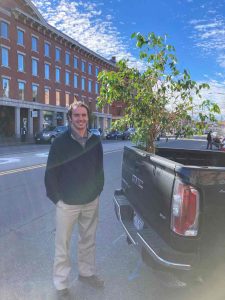 Bob's Ficus Tree leaving 111 Commercial Street...