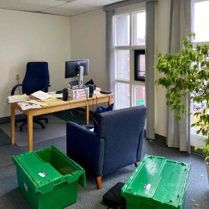 Bob's office.. should he take the Ficus Tree?